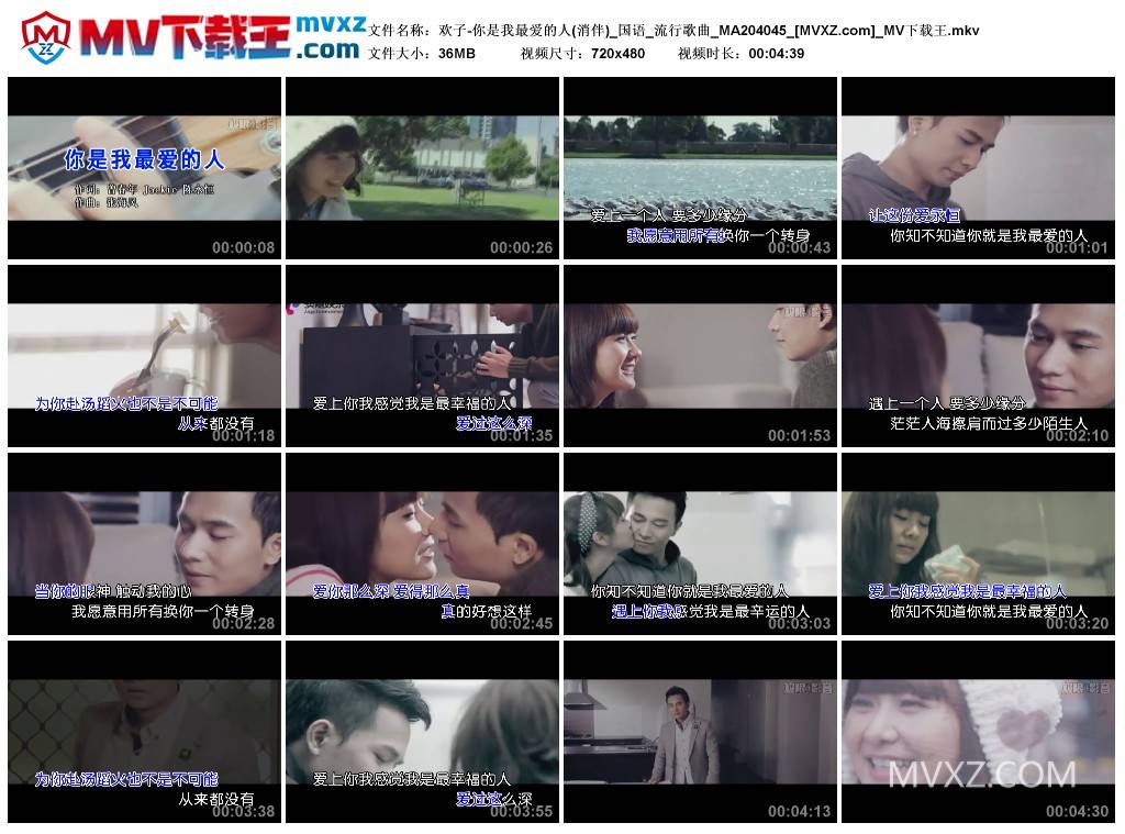 欢子-你是我最爱的人(消伴)_国语_流行歌曲_MA204045